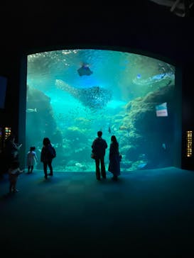 新江ノ島水族館に投稿された画像（2022/5/2）