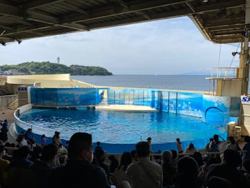 新江ノ島水族館に投稿された画像（2022/5/2）