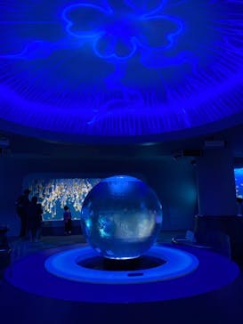 新江ノ島水族館に投稿された画像（2022/5/2）