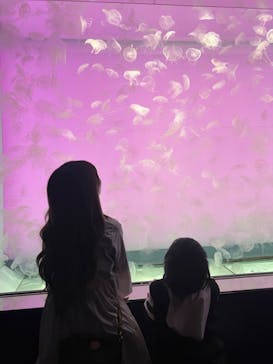 アクアワールド茨城県大洗水族館に投稿された画像（2022/5/2）