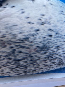 島根県立 しまね海洋館に投稿された画像（2022/5/2）