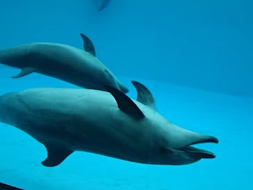 名古屋港水族館に投稿された画像（2022/5/2）