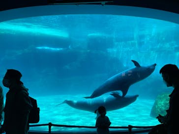 名古屋港水族館に投稿された画像（2022/5/2）