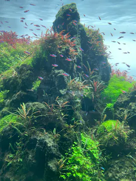 すみだ水族館に投稿された画像（2022/5/2）