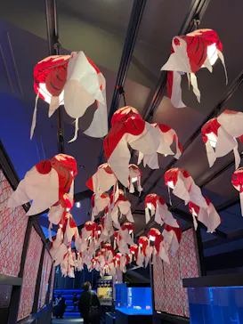 すみだ水族館に投稿された画像（2022/5/2）