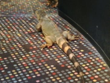 Moff animal world MARK IS みなとみらい店に投稿された画像（2022/5/2）