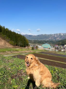 野沢温泉スキー場に投稿された画像（2022/5/2）