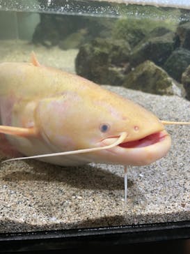 城崎マリンワールドに投稿された画像（2022/5/2）