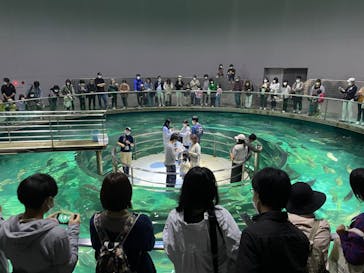 城崎マリンワールドに投稿された画像（2022/5/2）