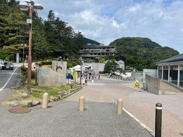 城崎マリンワールドに投稿された画像（2022/5/2）