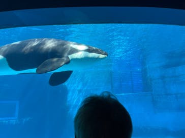 名古屋港水族館に投稿された画像（2022/5/2）