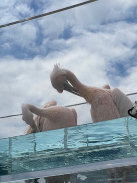 サンシャイン水族館に投稿された画像（2022/5/2）