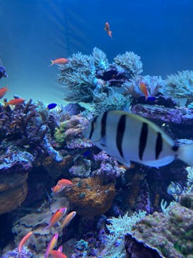 サンシャイン水族館に投稿された画像（2022/5/2）