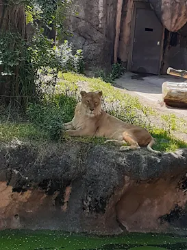 天王寺動物園に投稿された画像（2022/5/2）