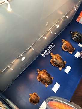 串本海中公園水族館に投稿された画像（2022/5/2）