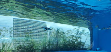 サンシャイン水族館に投稿された画像（2022/5/2）