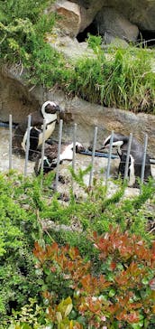 サンシャイン水族館に投稿された画像（2022/5/2）