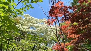 安城産業文化公園デンパークに投稿された画像（2022/5/2）