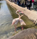 神戸どうぶつ王国に投稿された画像（2022/5/2）