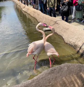 神戸どうぶつ王国に投稿された画像（2022/5/2）