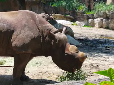 天王寺動物園に投稿された画像（2022/5/2）