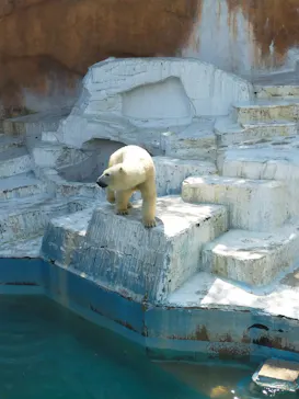 天王寺動物園に投稿された画像（2022/5/2）