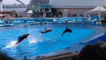 名古屋港水族館に投稿された画像（2022/5/2）