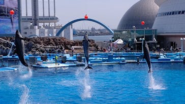 名古屋港水族館に投稿された画像（2022/5/2）