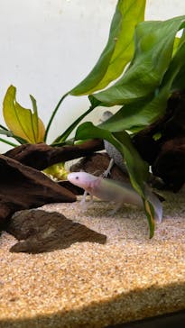 サンシャイン水族館に投稿された画像（2022/5/2）