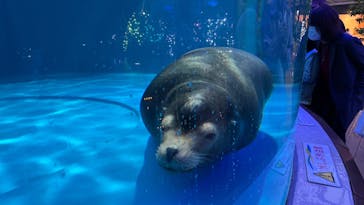 サンシャイン水族館に投稿された画像（2022/5/2）