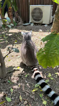 神戸どうぶつ王国に投稿された画像（2022/5/2）