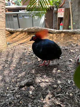 神戸どうぶつ王国に投稿された画像（2022/5/2）