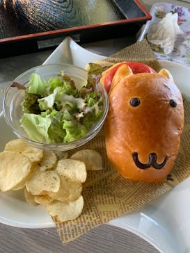 伊豆シャボテン動物公園に投稿された画像（2022/5/2）