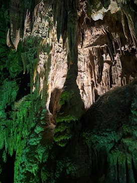 あぶくま洞に投稿された画像（2022/5/2）