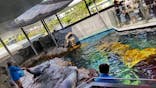 しながわ水族館に投稿された画像（2022/5/2）