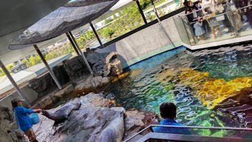 しながわ水族館に投稿された画像（2022/5/2）