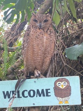 伊豆シャボテン動物公園に投稿された画像（2022/5/2）