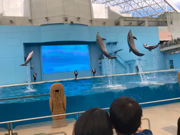 横浜・八景島シーパラダイスに投稿された画像（2022/5/2）