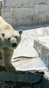 天王寺動物園に投稿された画像（2022/5/2）