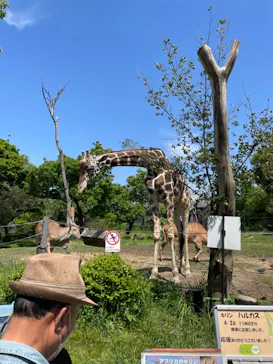天王寺動物園に投稿された画像（2022/5/2）