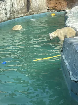 天王寺動物園に投稿された画像（2022/5/2）