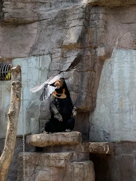 天王寺動物園に投稿された画像（2022/5/2）