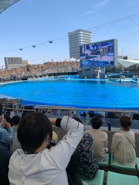 名古屋港水族館に投稿された画像（2022/5/2）