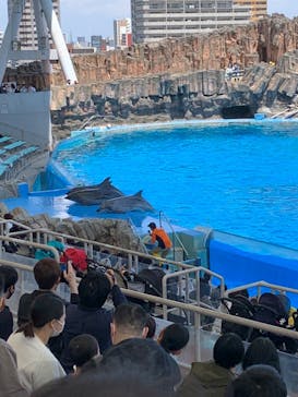 名古屋港水族館に投稿された画像（2022/5/2）