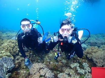 ダイブロックに投稿された画像（2022/5/2）