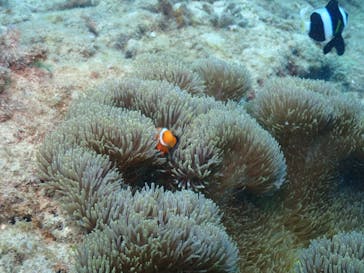 ダイブロックに投稿された画像（2022/5/2）