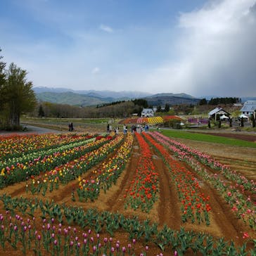 牧歌の里に投稿された画像（2022/5/2）