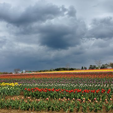牧歌の里に投稿された画像（2022/5/2）