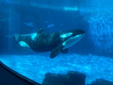 名古屋港水族館に投稿された画像（2022/5/2）