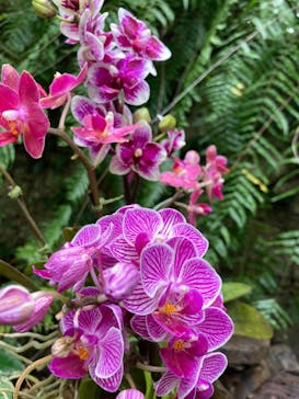 ビオスの丘に投稿された画像（2022/5/2）